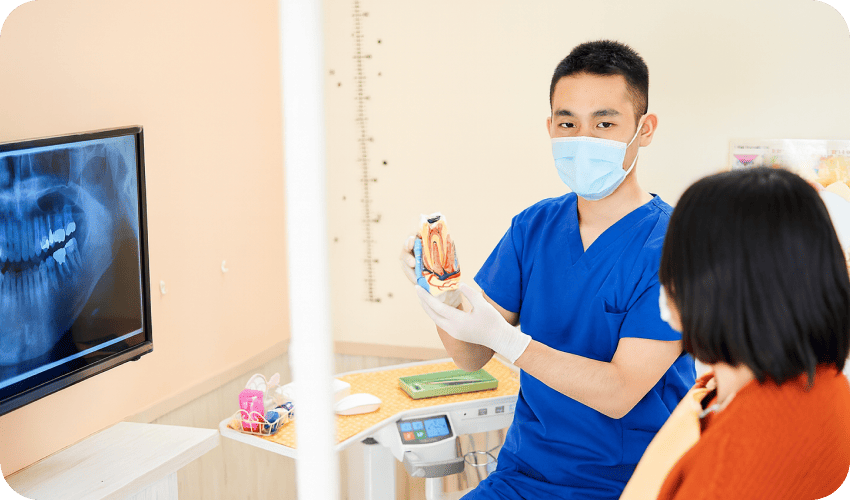 歯科医による説明の様子