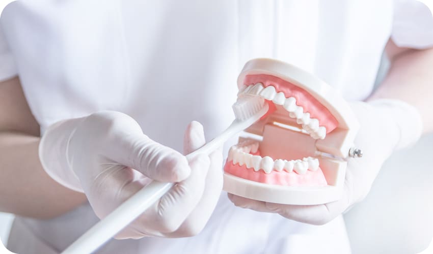 ケアの例の画像