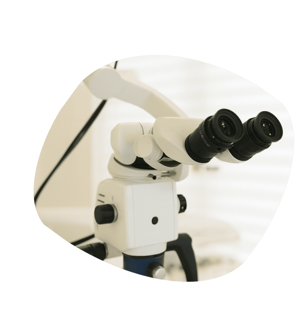 マイクロスコープの画像