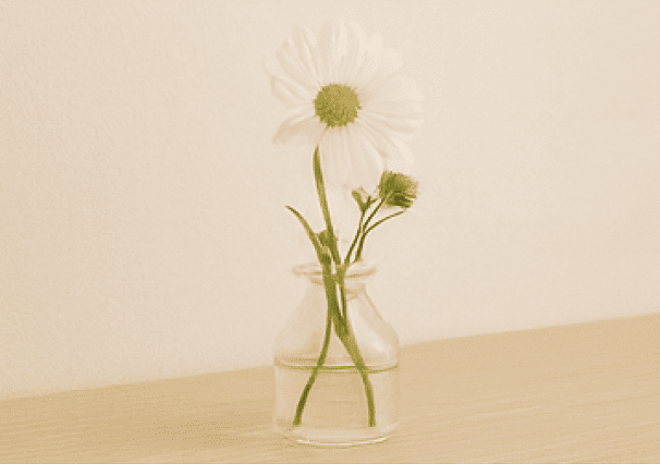 スワイパー画像